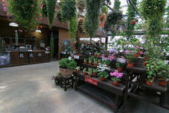 神戸花鳥園の花売店の画像