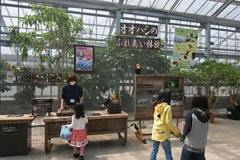 神戸花鳥園の鳥小屋の画像