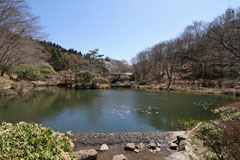 六甲高山植物園の池の画像