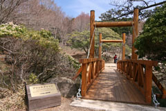 六甲高山植物園のプリンスブリッジの画像