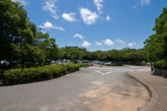 森林植物園の駐車場の画像