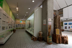 森林植物園の森林展示館内部の画像