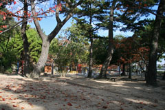 須磨浦公園の紅葉の画像