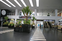 神戸空港のチェックイン・カウンター前の画像