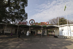 王子動物園の入り口の画像